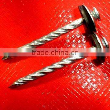 Africa Market Fast Sell Galvanized Oval Head Twisted Nails photo-5