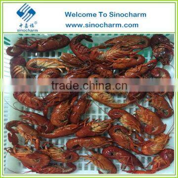 IQF Frozen Peeled Crawfish photo-5