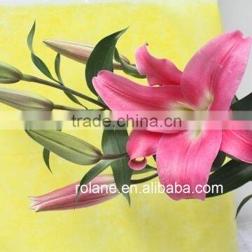 Cheap And Good China Hot Selling Fresh Cut Lilium From YUNNAN Planting Base
