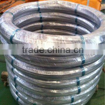 ( Factory) 2.4*3.0mm Oval de Arame Galvanizado South America