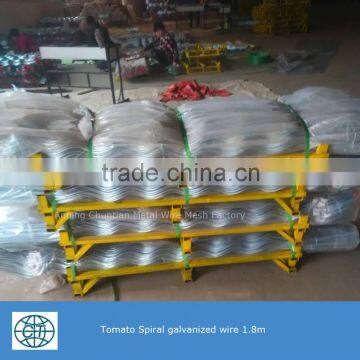 New Products Steel Bar Tomato Spiral Support rod for plant climbing