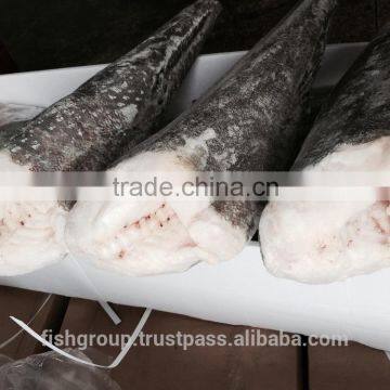 CHILEAN SEABASS HG or PATAGONIAN TOOTHFISH