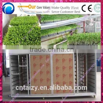 High capacity two cabinets bean sprout making machine/automatic bean sprout machine/grass Sprout Making Machine