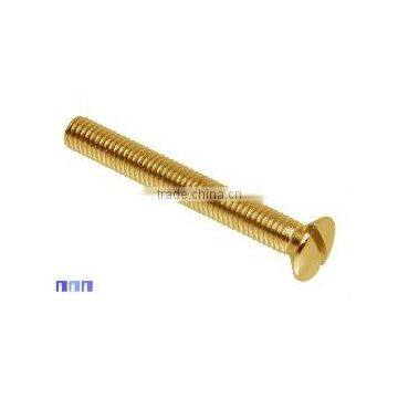 Slotted Oval Head Screws