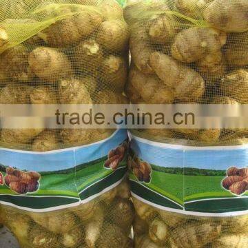 100% nature fresh Taro Hot selling hight quality