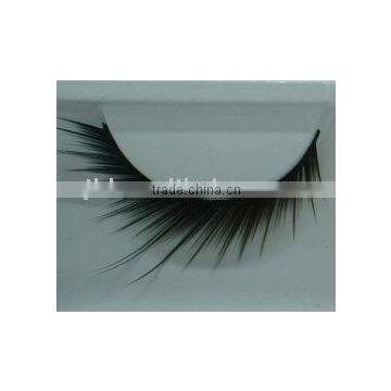 False Eyelashes