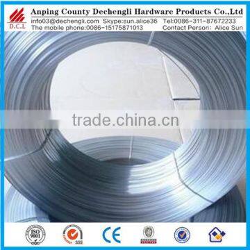 Supply High Quality Hot Dipped Galvanized Oval Steel Wire