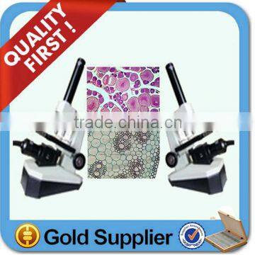 Human Oral Histology Pathology Prepared Slides Set photo-4