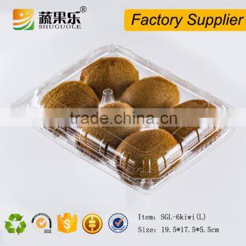 Transparent plastic 6 kiwi fruit clamshell packaging box