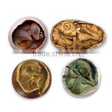 Dino Egg Dig Kits Dinosaur Baby Model photo-6