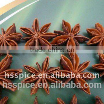Dahong Star Aniseed photo-2
