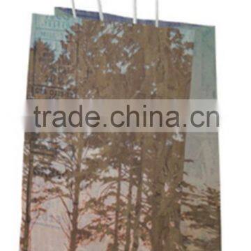 printed kraft paper bag with twisted handle