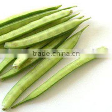 Gawar Price photo-3