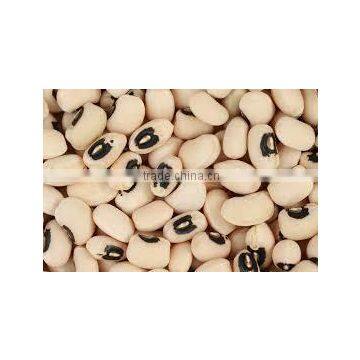 Black Eye Beans