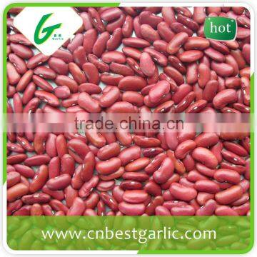 Small Red Kidney Beans Nutrition Facts photo-5