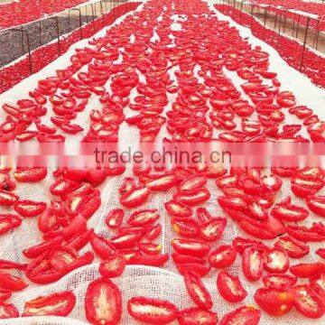 Chinese Fresh Sulfur Sun Dried Tomatoes