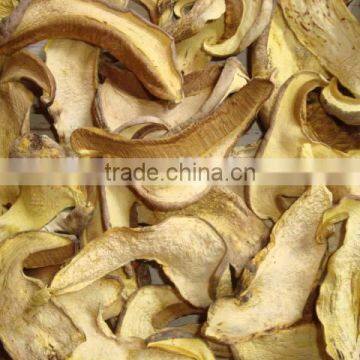 Top Quality Fresh or Dried Boletus Edulis Price