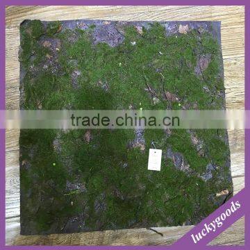 LTX007-LTX011 personized indoor decoration artificial moss mat for sale