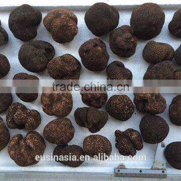 highly matured truffle