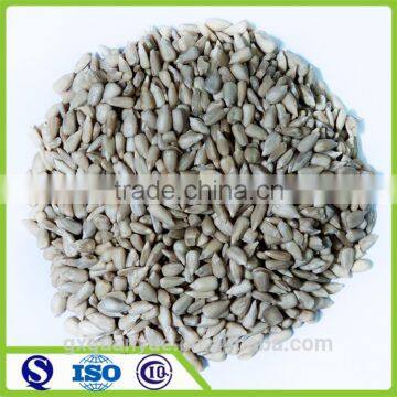 New crop health sunflower nuts kernels