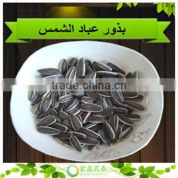 High Quality Striped Small Size 5009 Sunflower Seeds China