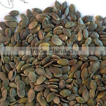 GWS pumpkin seeds kernel Grade AA