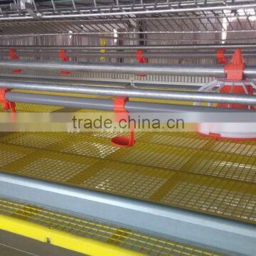 Poultry equipment Broiler cage