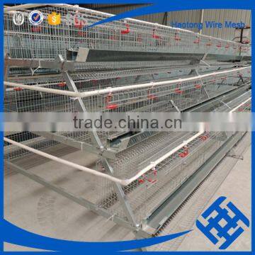 3layers Broiler Chicken Cage photo-6