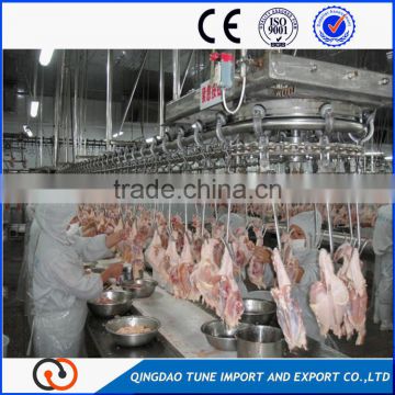 China promotion slaughtering machine chicken slaughter house quail slaughtering machine