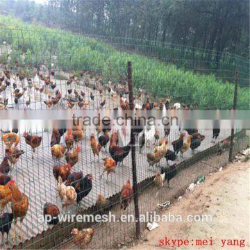 High Quality Plastic Coated Holland /Dutch Wire Mesh /Euro Fence (holland Wire Mesh,holland Wire Mesh photo-2