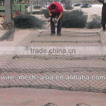 Plastic/PVE/PE Coated/Galvanized Hexagonal Gabion Mesh