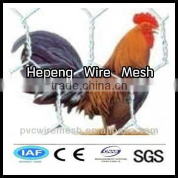 alibaba China wholesale CE&ISO certificated chicken coop hexagonal wire mesh(pro manufacturer)