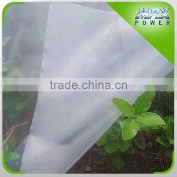 New Arrival Plastic Cover Film For Greenhouse