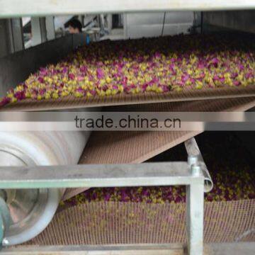 Multiple Layer Continuous Type Mesh Belt Dryer for Rosebud photo-4
