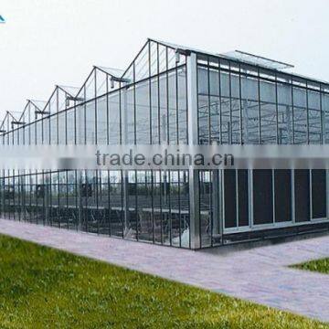 Economical Large Multi- Span Greenhouse for Tomatos photo-2