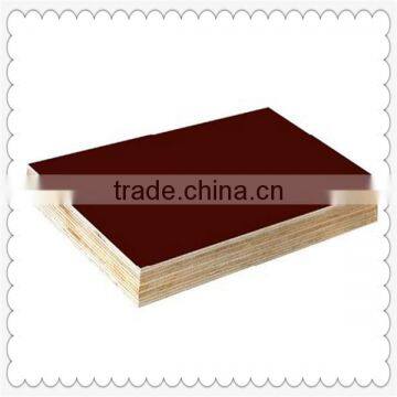 Marine Plywood / Film Faced Plywood Factory photo-2