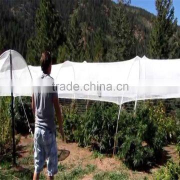 Customed Vineyard Anti Hail Net/Anti-hail Net photo-4