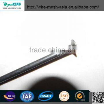 China Galvanized Common Nail Express photo-4