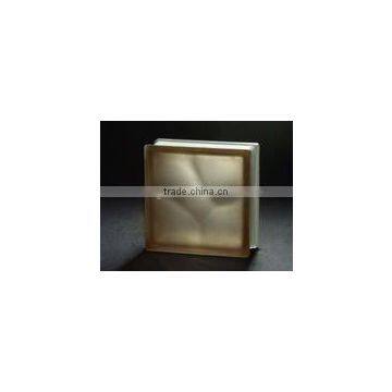 Hollow Clear and Tinted / Coloured Glass Block / Brick Glass/Hollow Blocks With ISO9002/CE photo-4