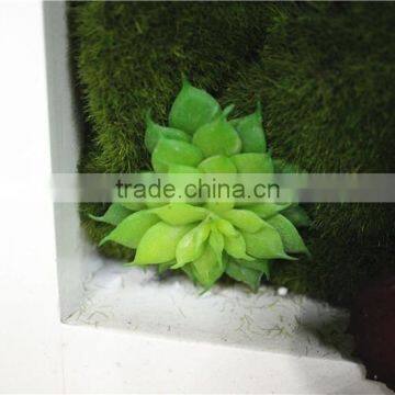Home Garden Deco 25cm to 200 cm Long Artificial Green Unique Mini Grass Head Wall Plant EJPZWQ1501 1201 photo-4