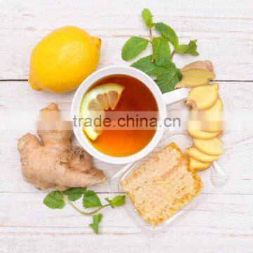 6g Wholesale Cheap Price Lemon Ginger Tea Manufacturer From China Supplier photo-2