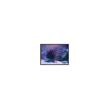 Sell Wall Screen