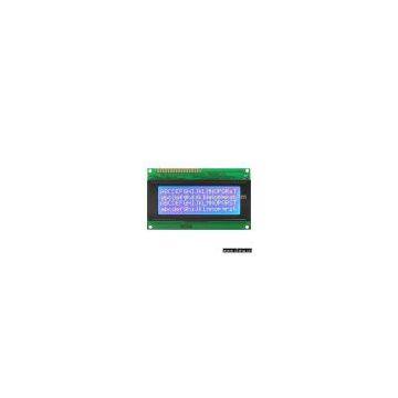 Character LCD Module