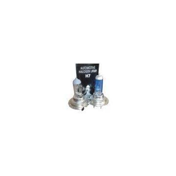 Sell H7 Halogen Bulb