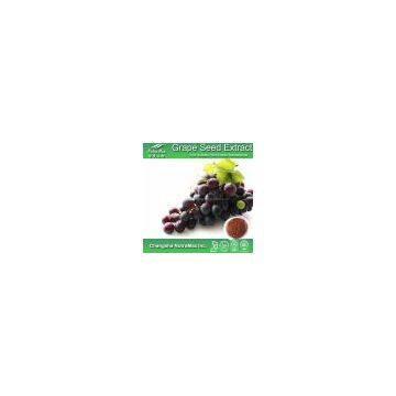 Grape Seed Extract OPC 95%