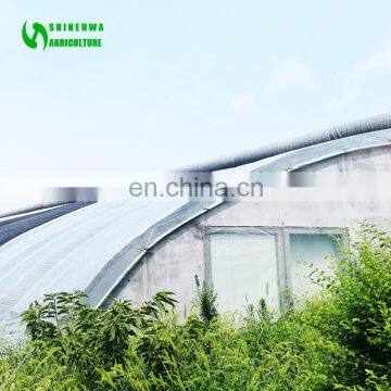 Easy Assemble Modular Retractable Sunlight Vegetable Strawberry Single Span Tunnel Greenhouse