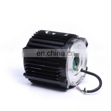 Custom IEC low rpm 200w rotor neodymium dc permanent magnet synchronous brushless dc motor