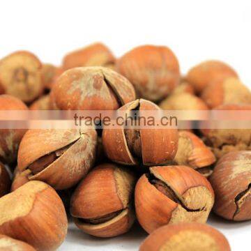 100% Organic Grade A High Quality Hazelnut