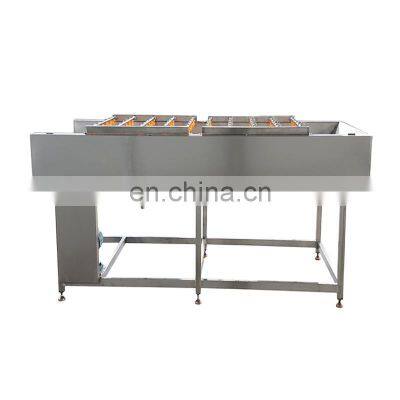 Low Price Fruit Cleaning Line Cleaner Fruit Bubble Cleaning Machine Ginger Washing Machine photo-5
