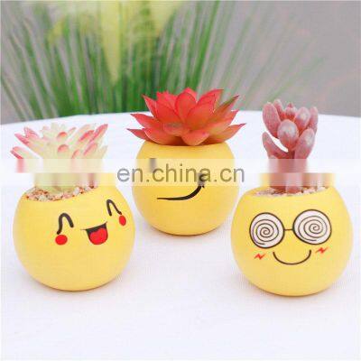 Amazon Cute Emoticons Indoor Artificial Faux Potted Variegated Plants Haworthia Succulent Cactus Plants Potted Bonsai